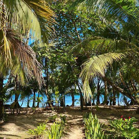 Drago Beach House - Private Beach Boca del Drago Eksteriør bilde
