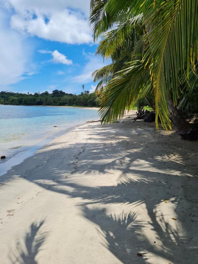 Drago Beach House - Private Beach Boca del Drago Eksteriør bilde