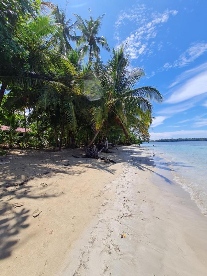 Drago Beach House - Private Beach Boca del Drago Eksteriør bilde