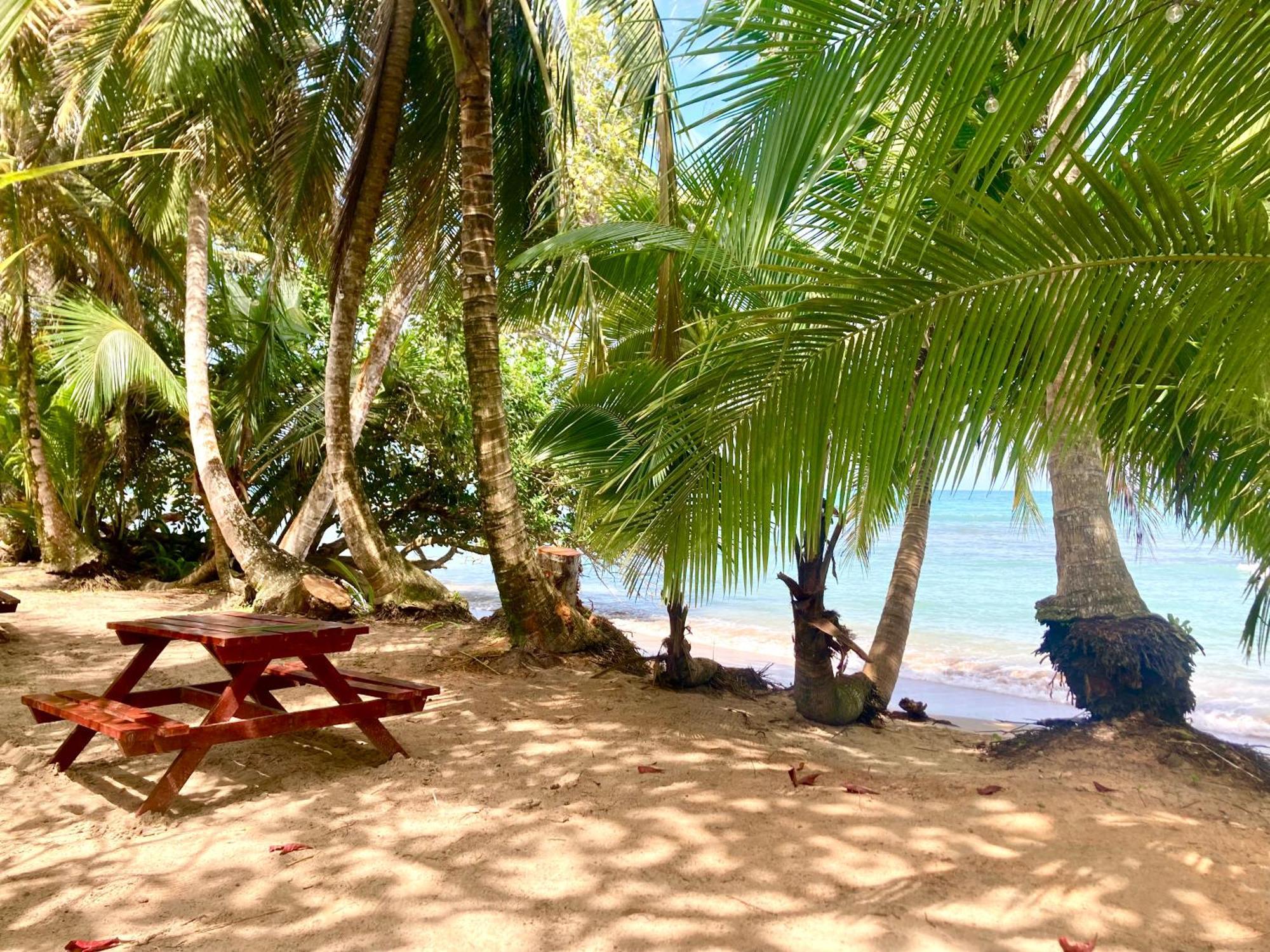 Drago Beach House - Private Beach Boca del Drago Eksteriør bilde