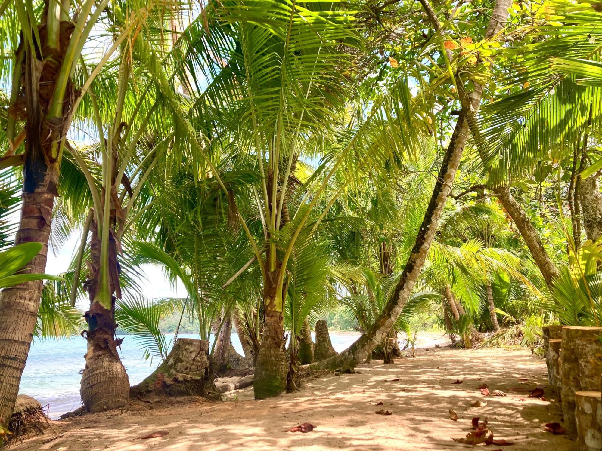 Drago Beach House - Private Beach Boca del Drago Eksteriør bilde