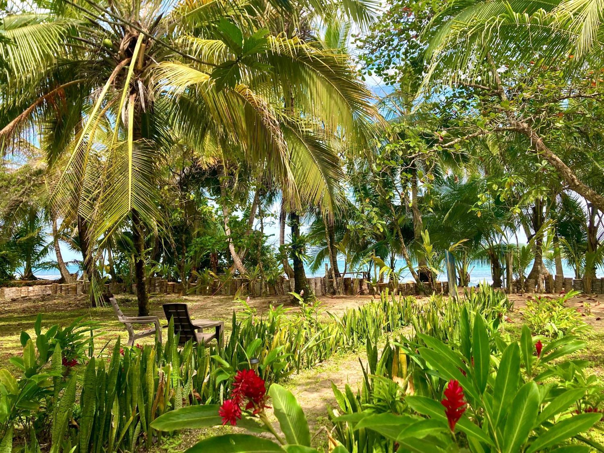 Drago Beach House - Private Beach Boca del Drago Eksteriør bilde