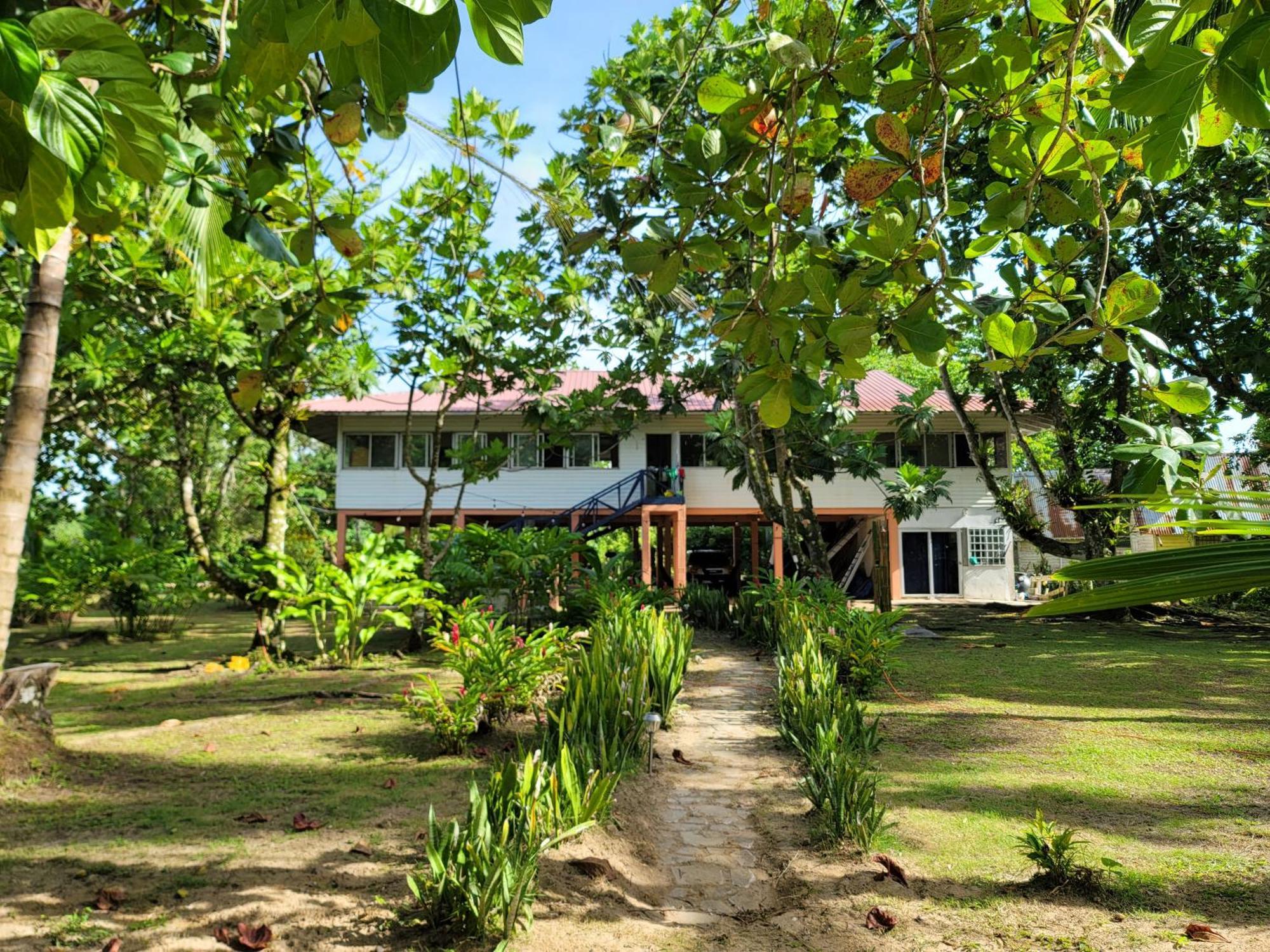 Drago Beach House - Private Beach Boca del Drago Eksteriør bilde